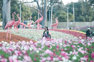 BIB: 
                            <button type="button" onclick="openModal(27344058)" class="btn btn-primary btn-sm float-right btn-popup" data-toggle="modal" data-target=".modal-high-quality">
                        <i class="fas fa-shopping-cart"></i> Add to Cart
                    </button>
                                            <button type="button" onclick="isThisMe(27344058, true)" class="btn btn-success btn-sm float-right btn-popup btn-isme hidden" data-toggle="tooltip" data-placement="bottom" title="นี่คือรูปของคุณใช่ไหม คลิกที่นี่เพื่อเอาเข้าอัลบั้ม">
                        <i class="fas fa-plus"></i> Add to album
                    </button>
                    <button type="button" onclick="isThisMe(27344058, false)" class="btn btn-warning btn-sm float-right btn-popup btn-isnotme hidden">
                        <i class="fas fa-ban"></i> Remove from album
                    </button>